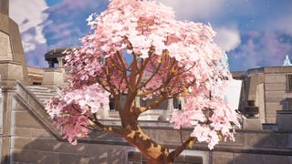 Where to visit cherry blossom tree displays in Fortnite