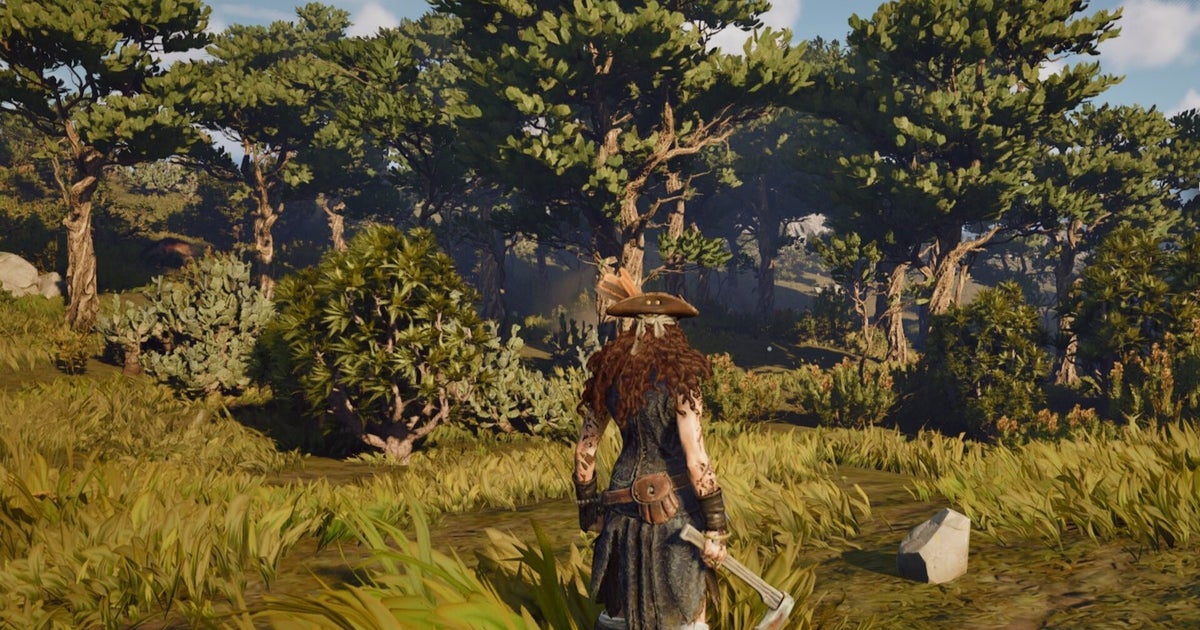 Timber Windrose How to get Hardwood in Windrose | Eurogamer.net