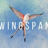 Wingspan artwork