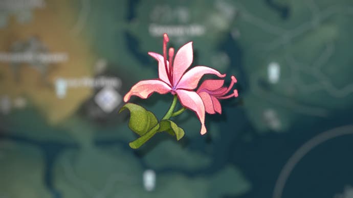Menu view of a Pecok Flower from Wuthering Waves with a blurred background of the Jinzhou map behind it.