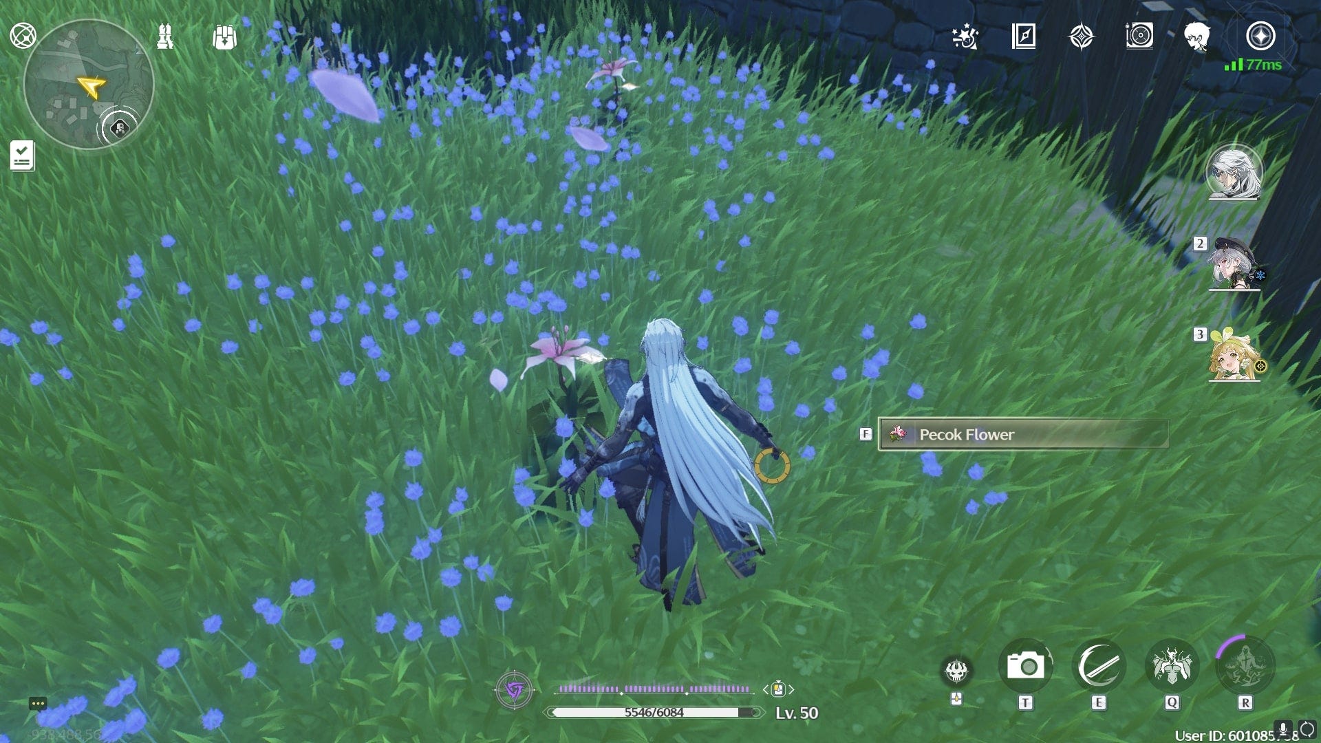 Where to find Pecok Flowers in Wuthering Waves VG247