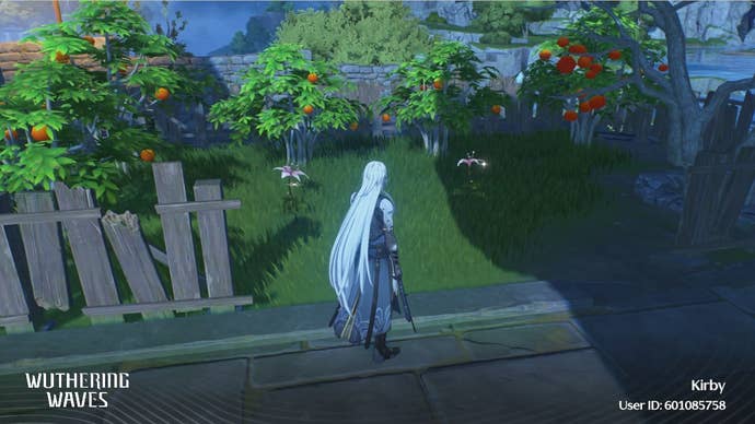 Calcharo stands in front of a small garden containing some Pecok Flowers in Wuthering Waves