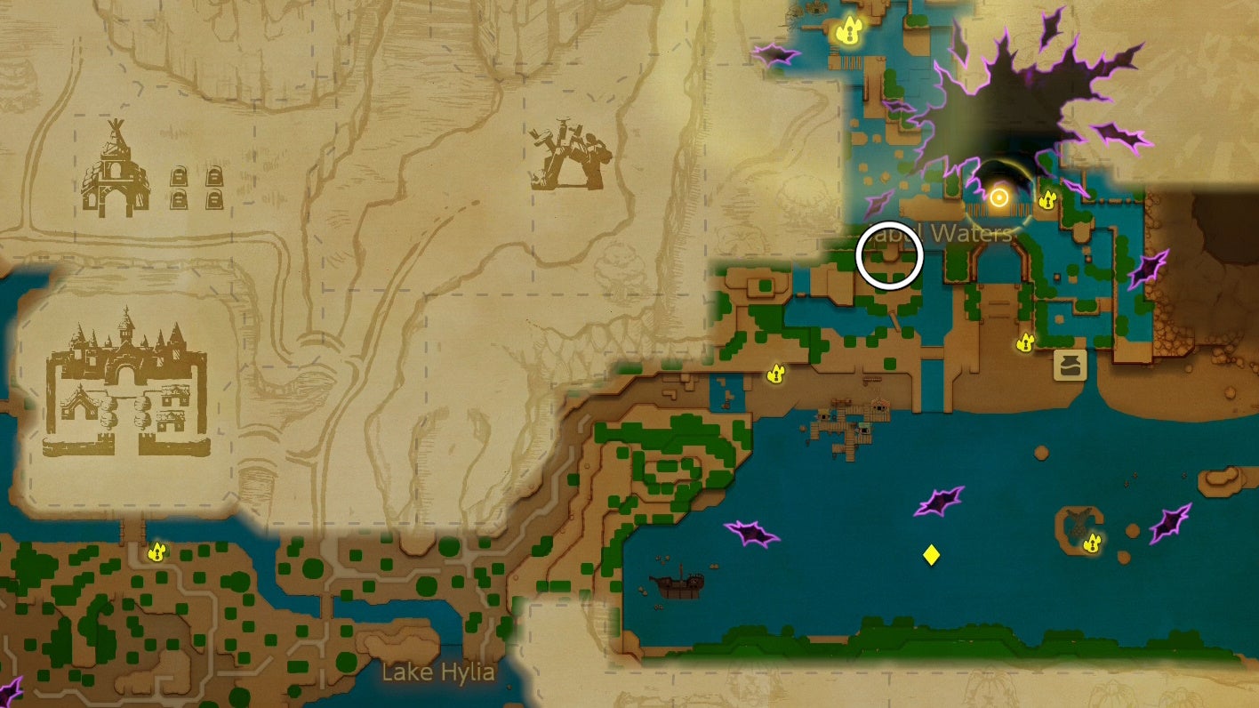White circle showing the location of Anube for the Deliver the Grilled Fish side quest in Zelda Echoes of Widsom.