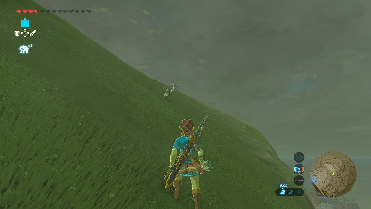 Zelda Mountains bird
