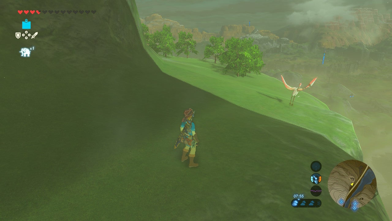 Zelda Mountains bird
