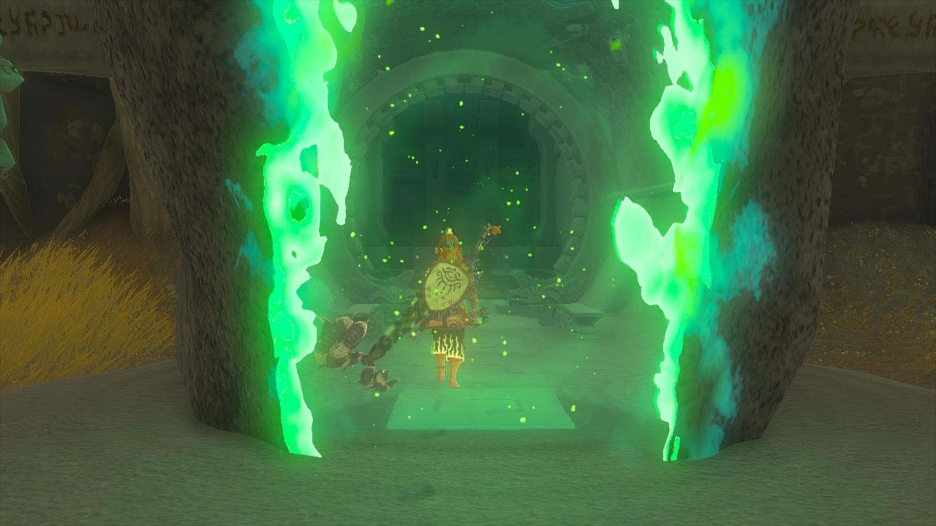Link enters the Joku-usin Shrine in The Legend of Zelda: Tears of the Kingdom - 1