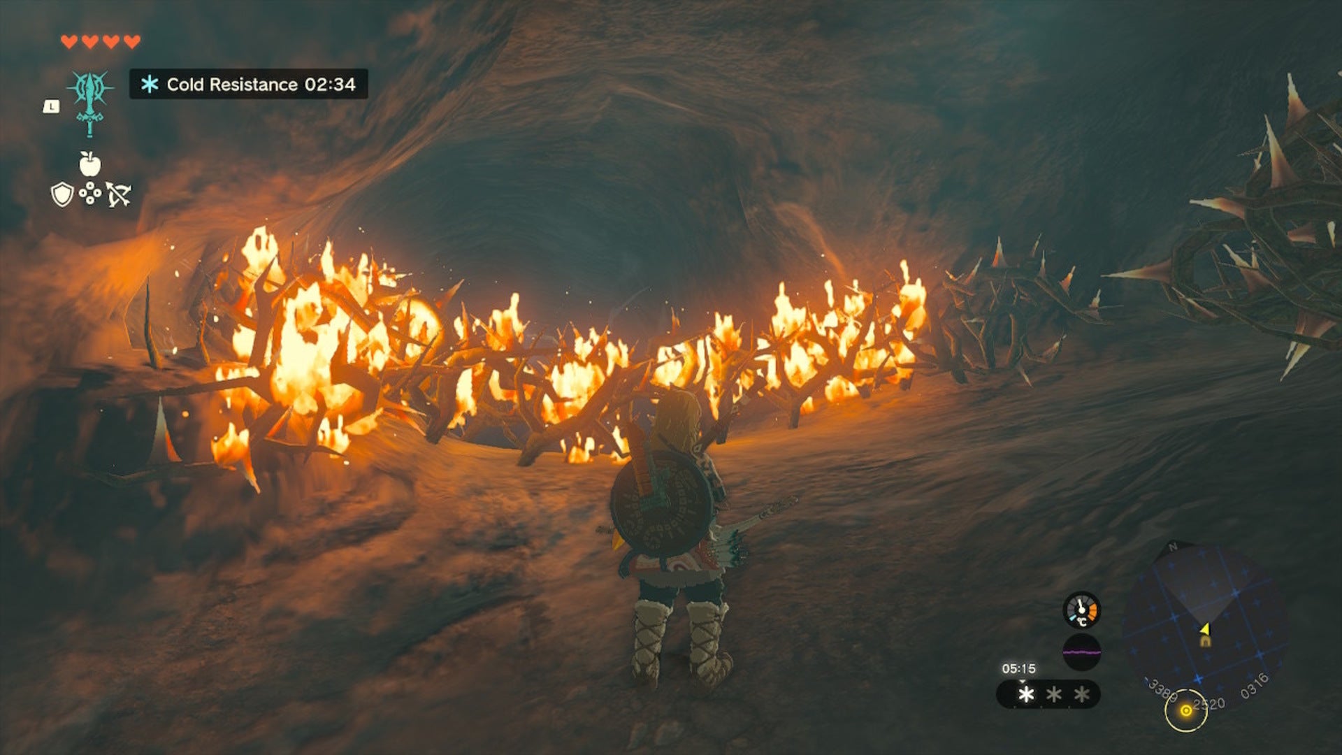 Link sets some thorns in Hebra South Summit Cave on fire in The Legend of Zelda: Tears of the Kingdom - 10