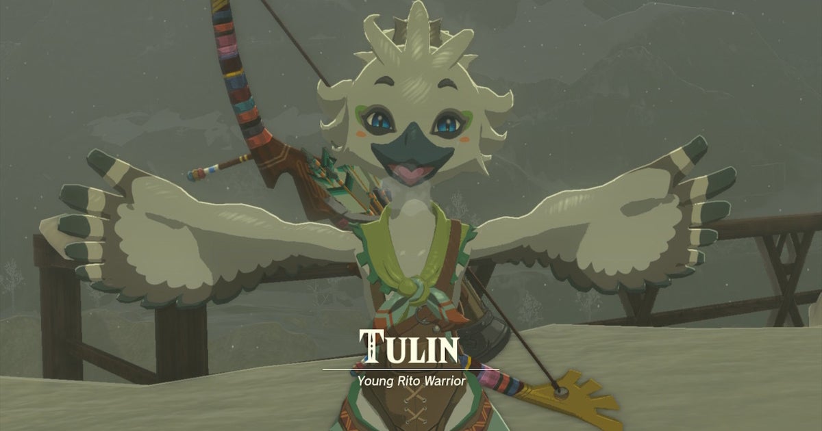 Zelda: Tears of the Kingdom Tulin of Rito Village quest walkthrough | VG247
