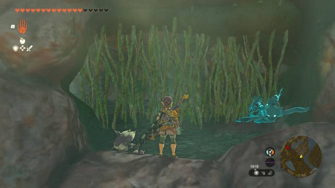 Link faces some vines blocking the entrance to Sarjon Cave in The Legend of Zelda: Tears of the Kingdom