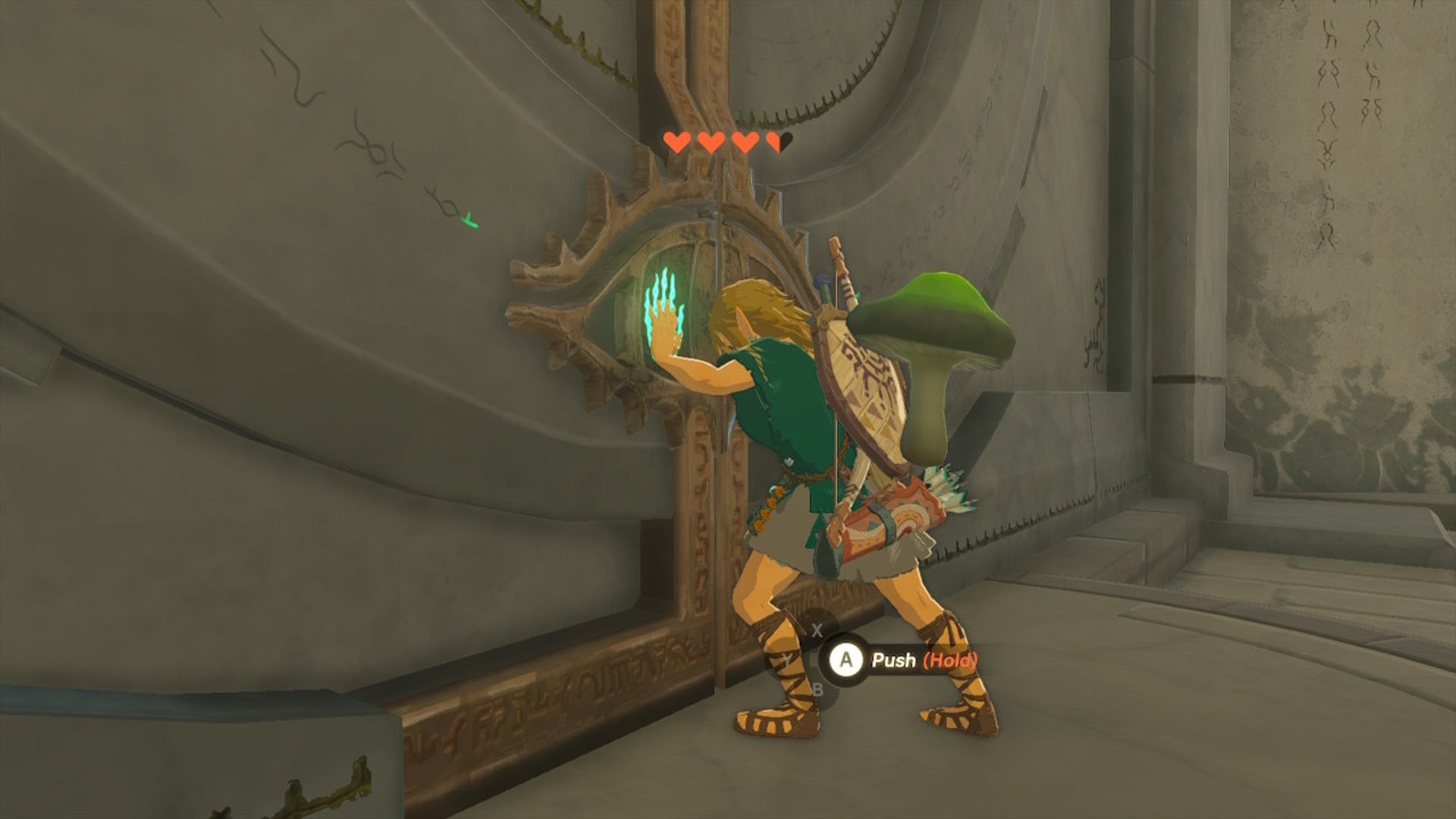 Link opens a Vitality-powered door in the Temple of Time in The Legend of Zelda: Tears of the Kingdom