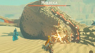 How to beat Molduga in Zelda Tears of the Kingdom