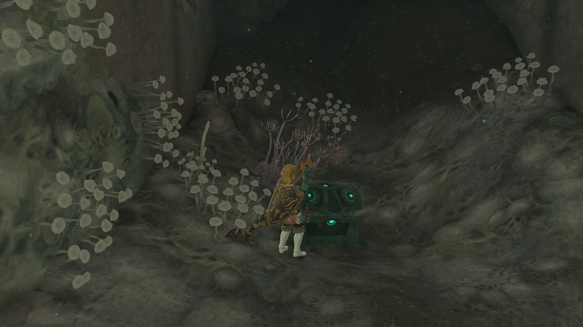 Link standing next to a chest in the Right-Arm Depot in The Legend of Zelda: Tears of the Kingdom.