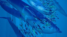 Into The Sea: An ABZÛ Gallery