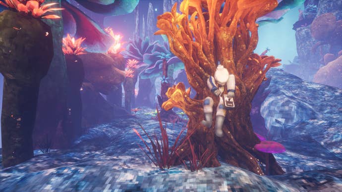 The corpse of a diver lies tangled successful a clump of coral beneath the aboveground of a lake.
