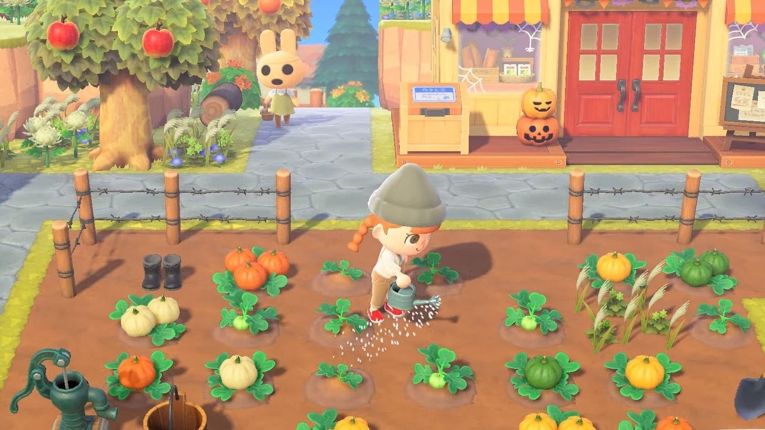 Animal Crossing Pumpkins How to grow pumpkins, pumpkin colours and how