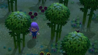 Animal Crossing: Bambú - Cómo conseguir Tallo de Bambú, Brote de Bambú y Tallo de Bambú Primaveral en New Horizons