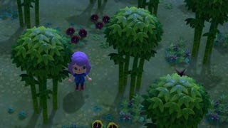 Animal Crossing Bamboo: How to get Bamboo Pieces, Bamboo Shoots and Young Spring Bamboo in New Horizons
