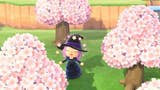 Animal Crossing: cerezos - todo lo que necesitas saber sobre los proyectos de cerezos y conseguir pétalos de cerezo en New Horizons