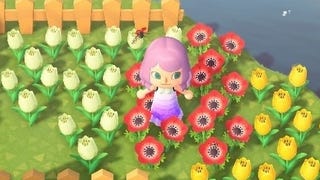 Animal Crossing - kwiaty Flowers: sadzenie, uprawianie, przenoszenie, nasiona