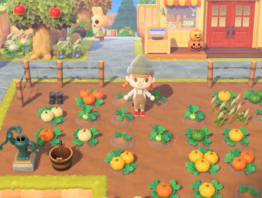Animal Crossing: New Horizons Pumpkin guide - How to grow different colours and find all the DIY recipes