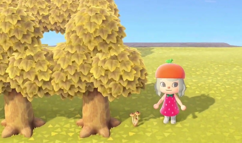Animal Crossing New Horizons Mushroom guide Where to find different