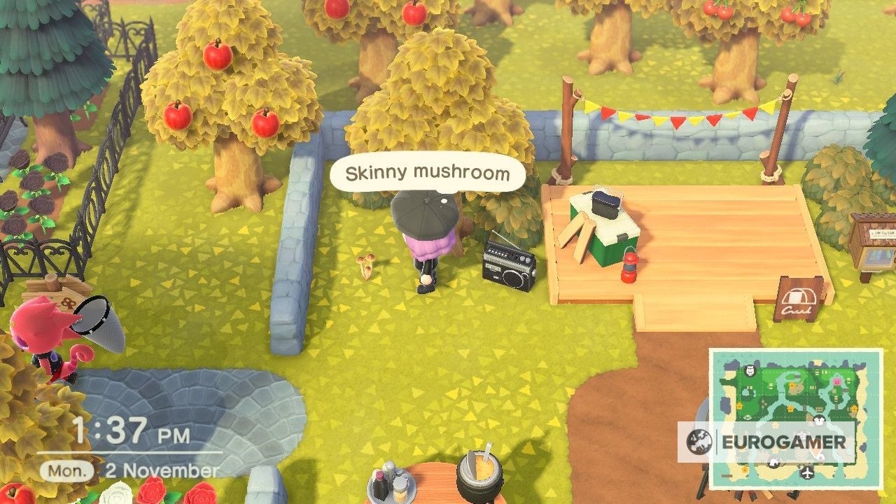 Animal Crossing - Mushrooms: How to get elegant, flat, rare, round and ...