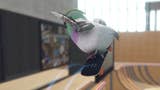 Adorable, avian-themed skateboarding game SkateBird gets August release date