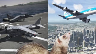 The Flare Path: Ferrets