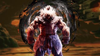 Street Fighter 6's Akuma raid boss and Twitch plays events were "a big hit" according to Capcom