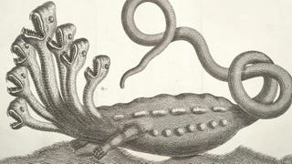 A drawing of a hydra monster with several heads and a long, snakelike tail