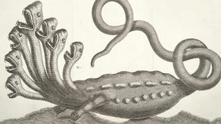 A drawing of a hydra monster with several heads and a long, snakelike tail