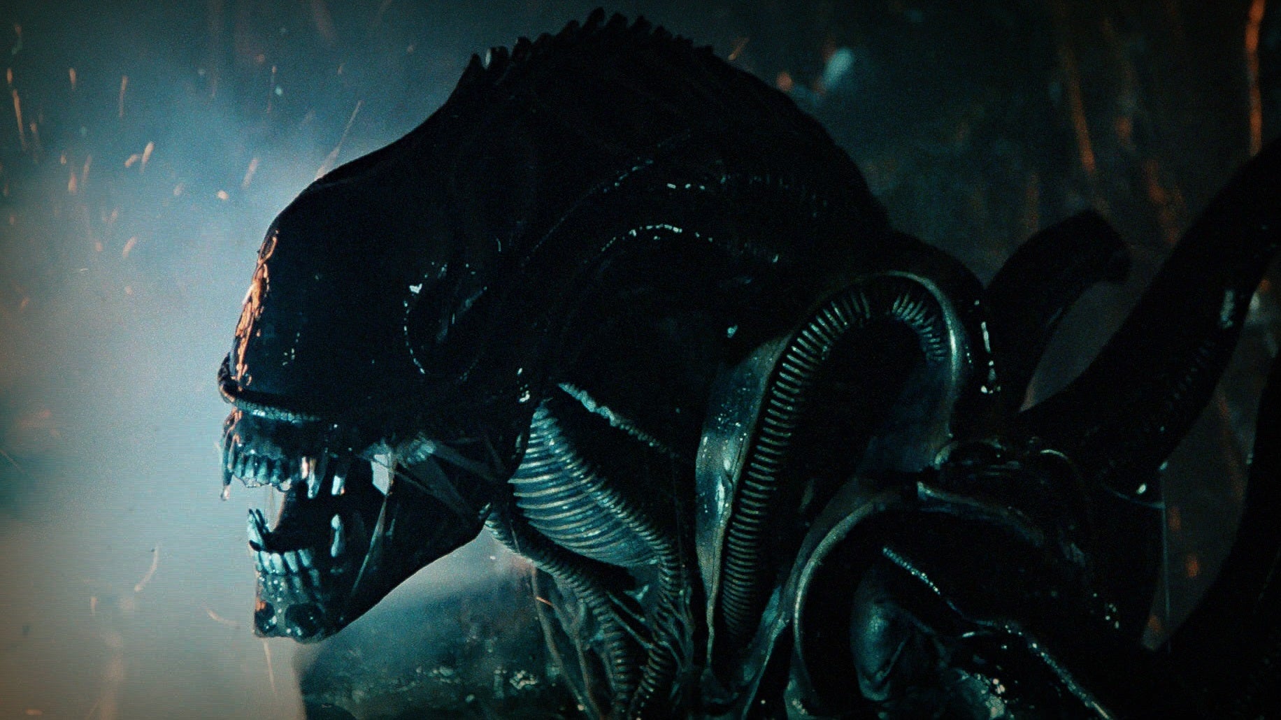 Aliens: Fireteam Elite gets "long-requested quality of life updates" as ...