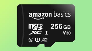 amazonbasics micro sd card 256gb