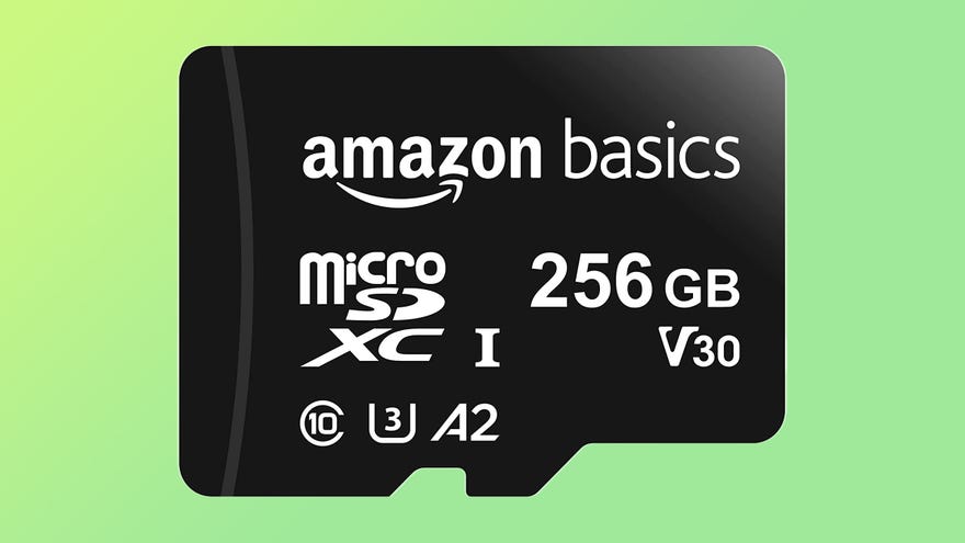 amazonbasics micro sd card 256gb