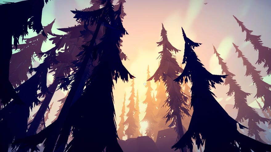 The treetops at golden hour in Among Trees