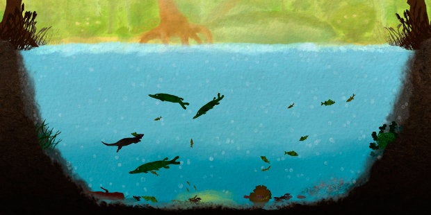 Play God With Otters: Free Lake Simulator Among Ripples | Rock Paper ...