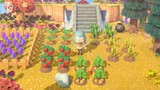Tomates, patatas y zanahorias en Animal Crossing: dónde y cómo comprarlas, cómo cultivarlas en New Horizons