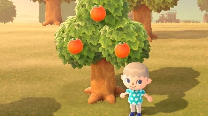 Animal Crossing fruit Grow back time, eating benefits and how to plant fruit trees in New