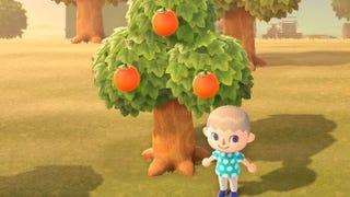 Animal Crossing fruit: Grow back time, eating benefits and how to plant fruit trees in New Horizons