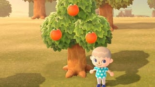 Animal Crossing fruit: Grow back time, eating benefits and how to plant fruit trees in New Horizons