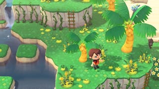 Animal Crossing New Horizons: Leuchtmoos und Ranken finden