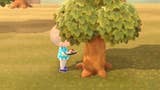 Animal Crossing - jedzenie owoców, przesadzanie drzew i niszczenie kamieni w New Horizons