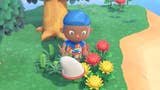 Animal Crossing - Net: siatka na owady w New Horizons