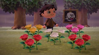 Animal Crossing: New Horizons - Blumen kreuzen und pflanzen