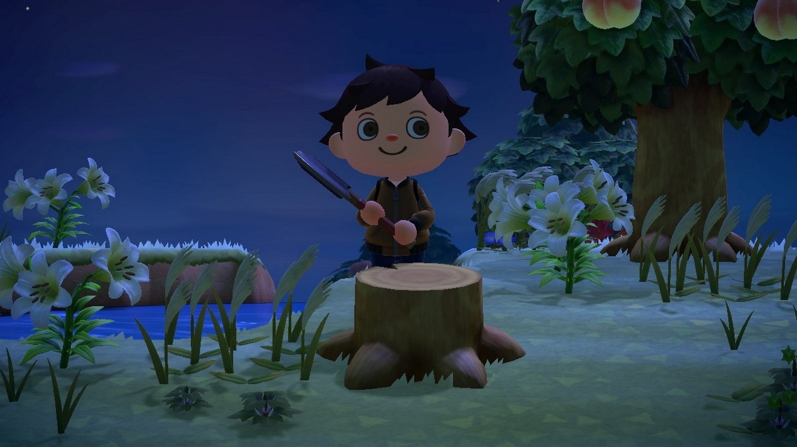 Animal Crossing New Horizons Flüsse und Plateaus bauen, wie ihr die