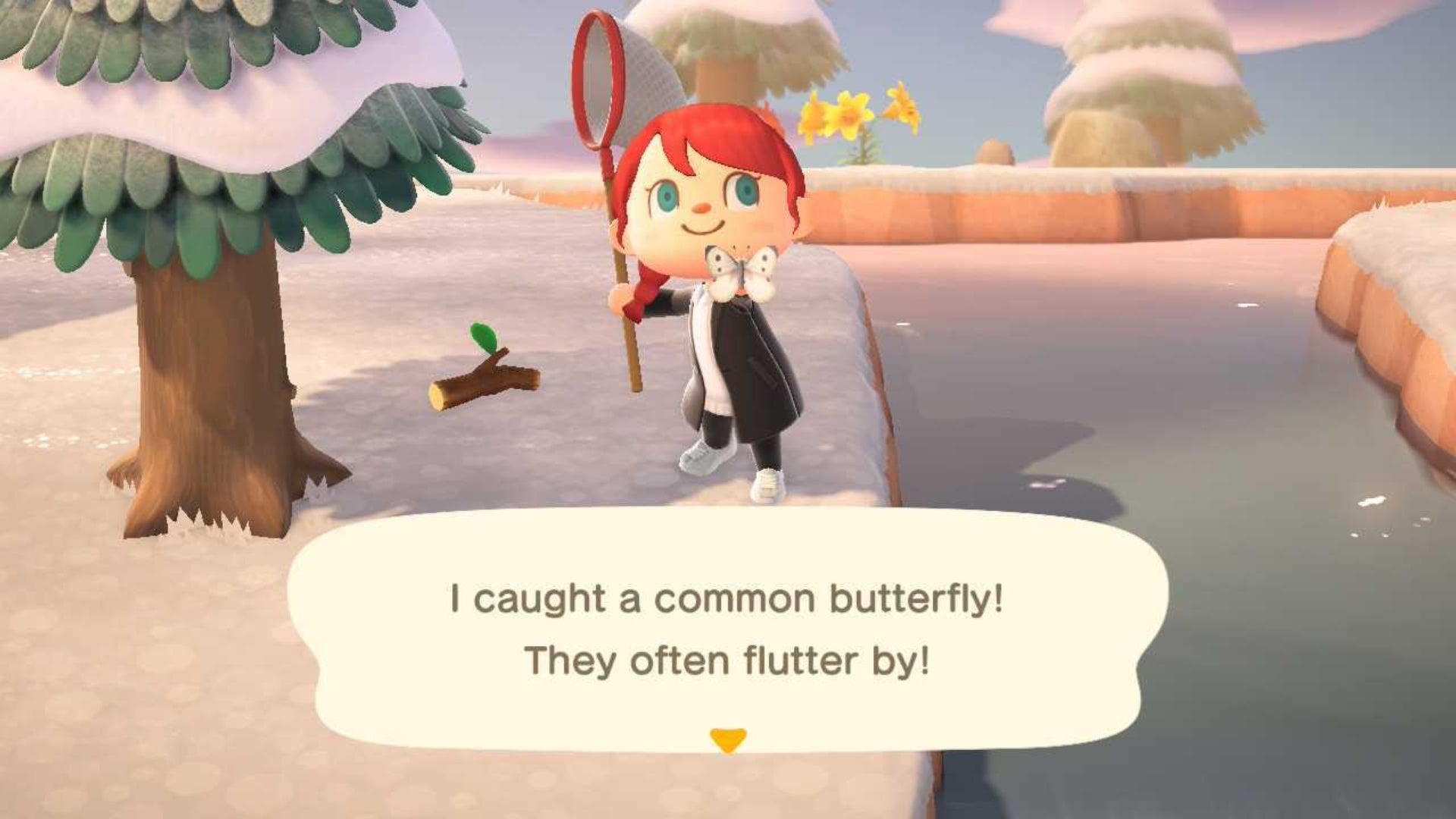 All January Bugs in Animal Crossing New Horizons | Eurogamer.net