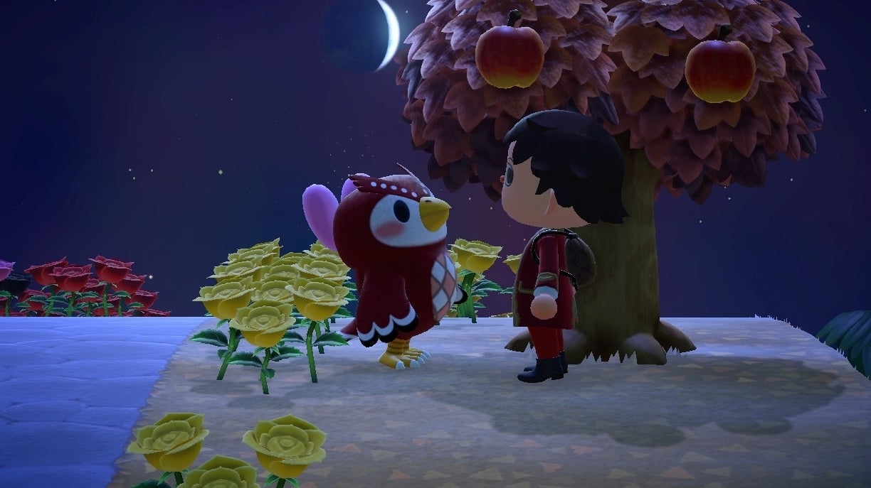 Animal Crossing New Horizons Sternschnuppen mit Eufemia beobachten, Sternensplitter bekommen