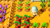 Animal Crossing New Horizons Zucker - So baut ihr Zuckerrohr an