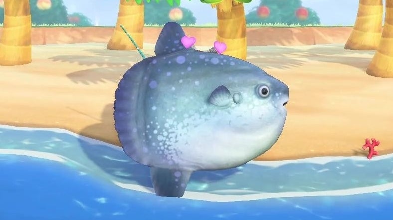 Animal crossing shop big fish