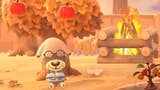 Animal Crossing New Horizons: Come funzionano stagioni e emisferi - guida